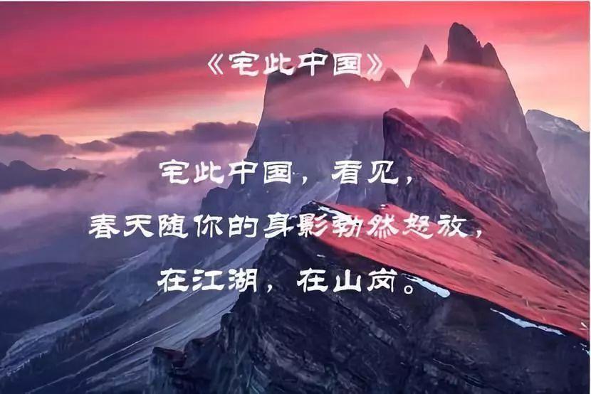 救援男孩与狗